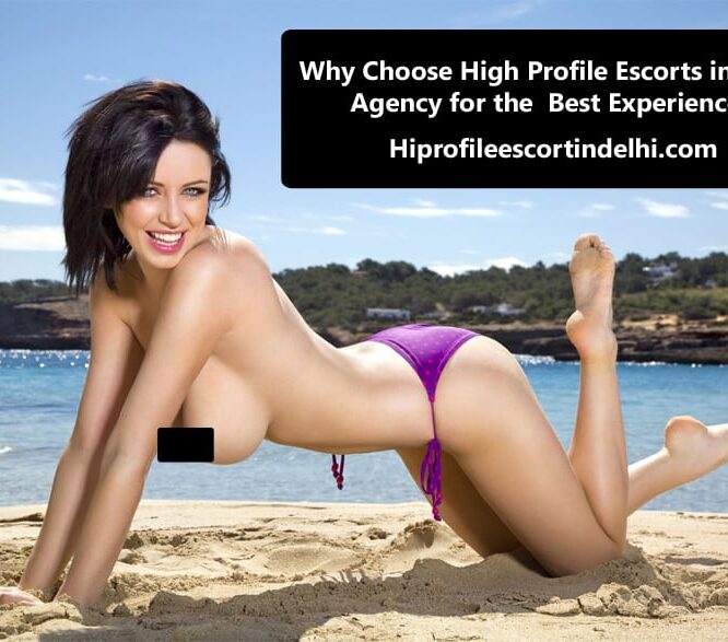 Why Choose High Profile Escorts in Delhi Agency for the Best Experience